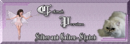 chokmahpersians.jpg