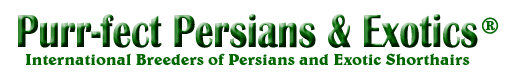 purrfectpersianslogo.gif