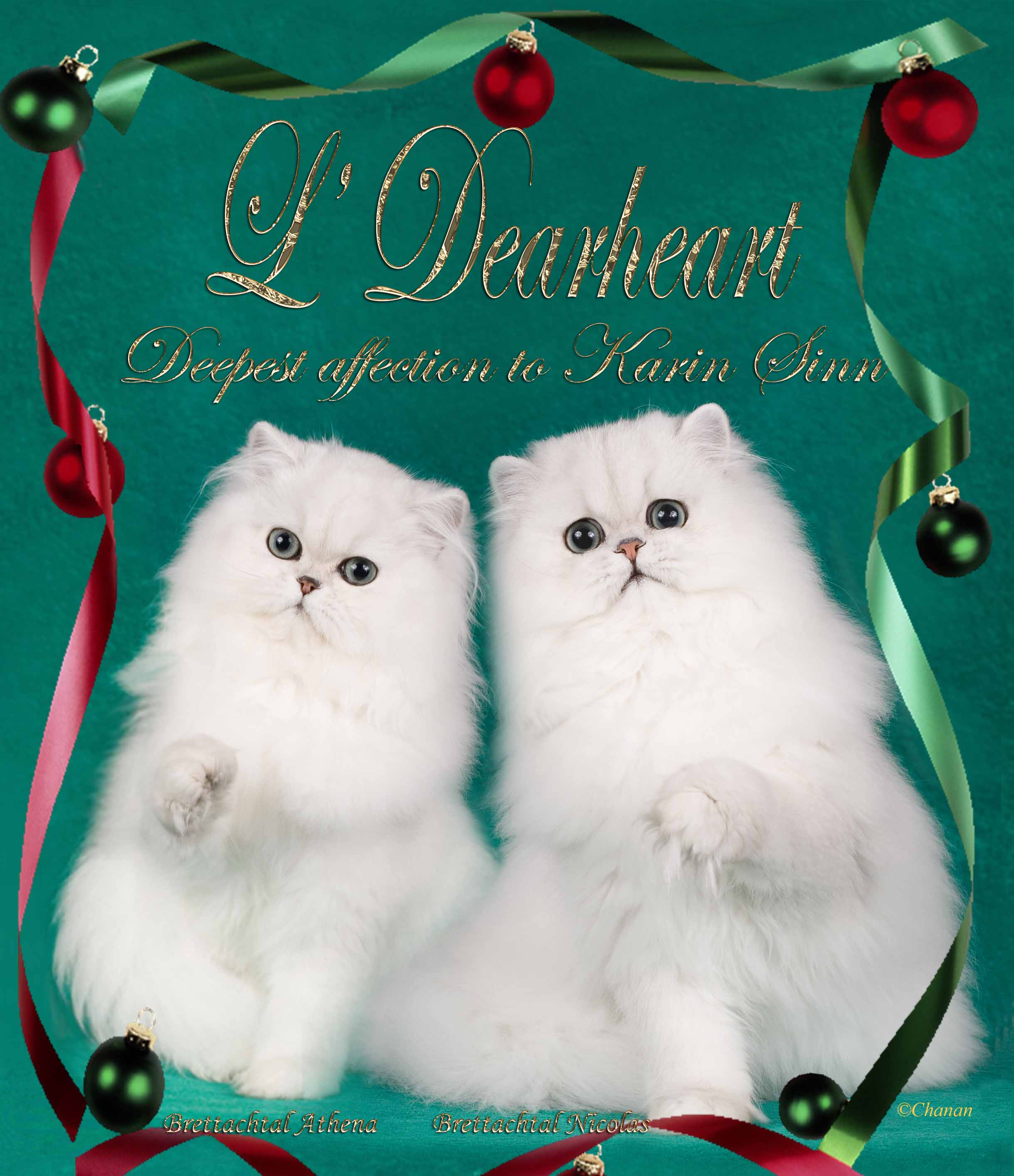 xmas_kittens_in_gold_small_file.jpg